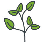 Stiliserad gren med blad som listar PREFA:s värden