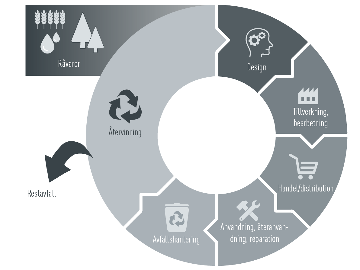 Grafik om CAG cirkulär ekonomi: Råvaror, design, tillverkning, bearbetning, handel/försäljning, användning, återanvändning, reparation, avfallshantering, återvinning/restavfall
