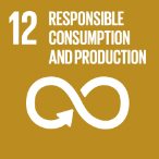 Sustainable Development Goal Nr 12: Hållbar konsumtion och produktion