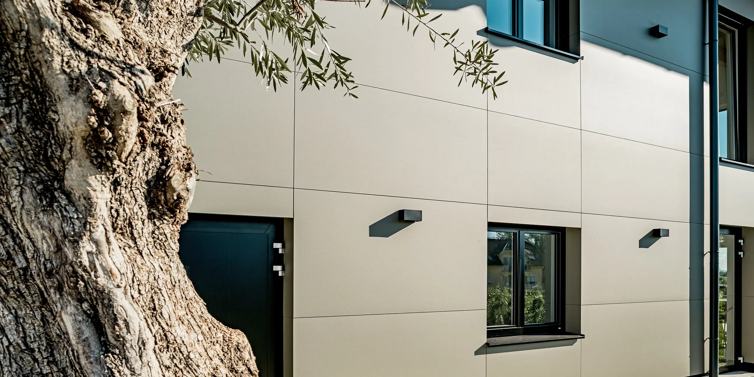 Nahaufnahme der Fassade des Weinguts Nigl in Perchtoldsdorf mit PREFA Aluminium Verbundplatten in P.10 Prefabronze. Die glatte, matte Oberfläche betont die hochwertige Verarbeitung und verleiht dem Gebäude eine moderne, zurückhaltende Eleganz. Klar definierte Fugenlinien sorgen für eine strukturierte Optik. Im Vordergrund steht ein alter Olivenbaum, dessen natürliche Maserung einen reizvollen Kontrast zur präzisen Linienführung der Fassade bildet. Schwarze Fensterrahmen und reduzierte Außenleuchten runden das minimalistische Design ab. Die PREFA Fassadenplatten sind witterungsbeständig, wartungsarm und besonders langlebig – ideal für zeitlose Architektur mit Stil.
