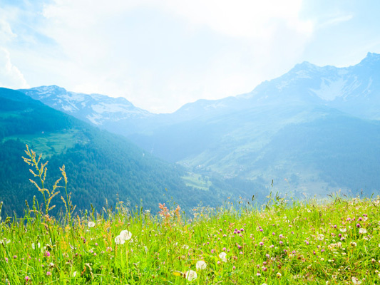 Unberührte Berglandschaft auf der Alm mit Gräsern Umweltschutz und Recycling ist bei PREFA wichtig